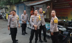 pengecekan